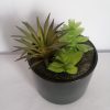 Flori ghiveci negru ceramic